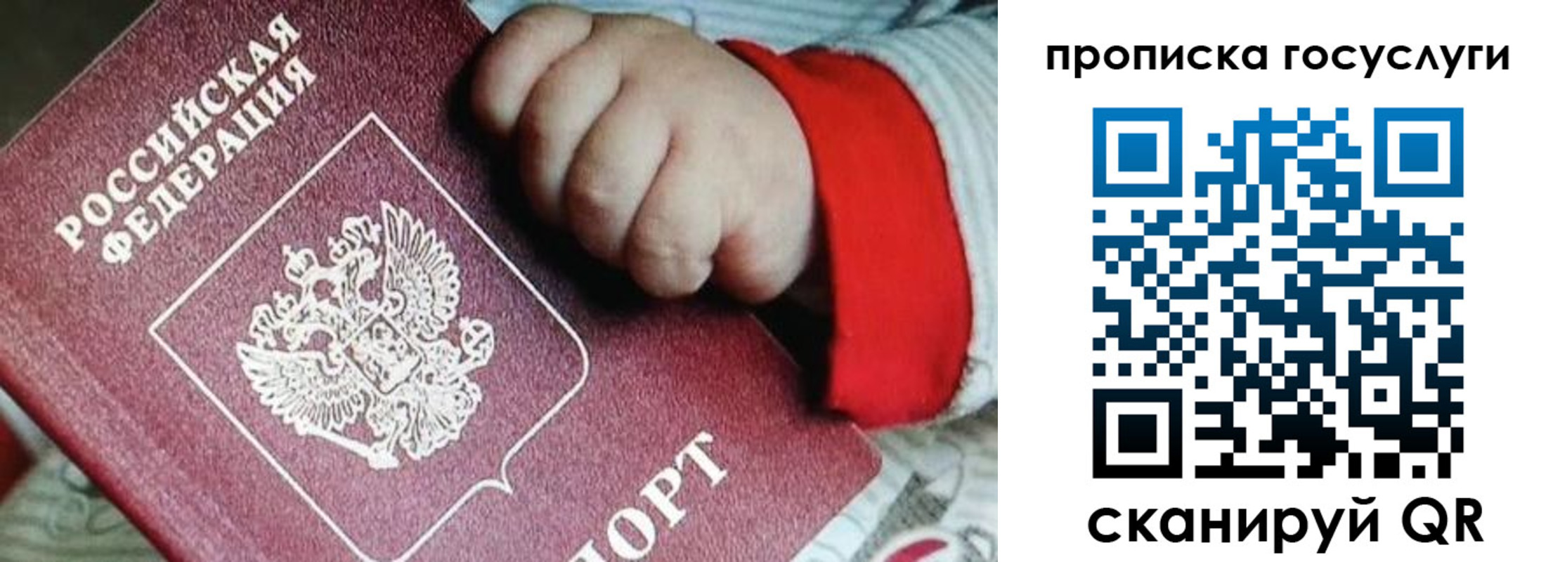 прописка штамп в Пионерском